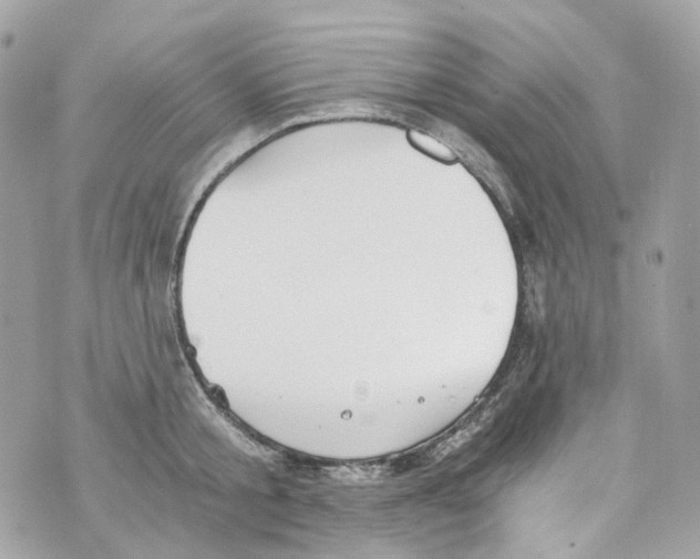 X0000069810805200606161848