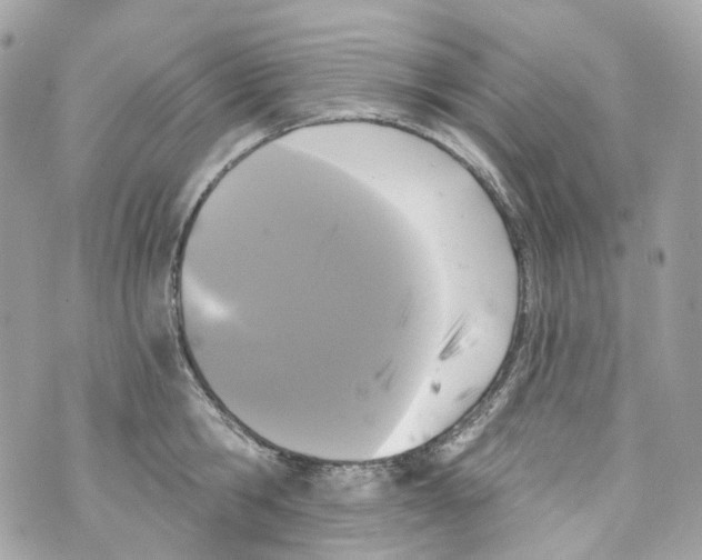 X0000069810806200606161848