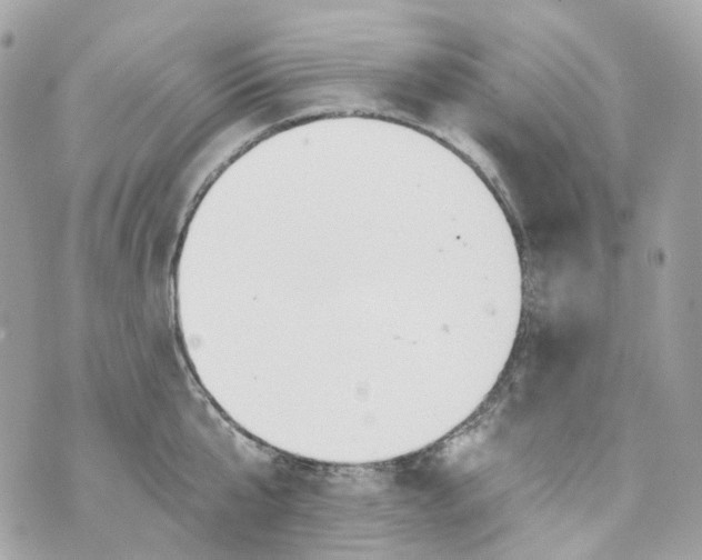 X0000069810807200606161848