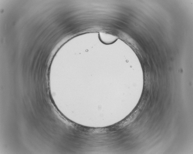 X0000069810808200606161848