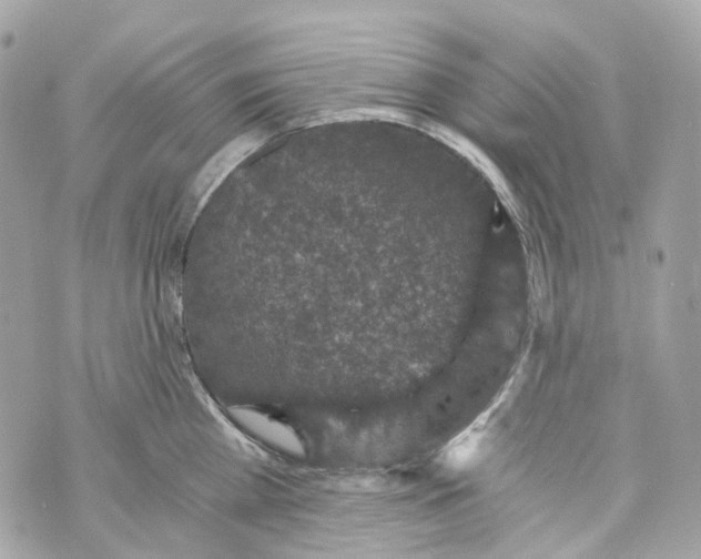 X0000069810809200606161848