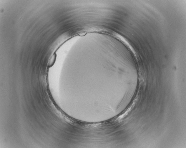 X0000069810810200606161848