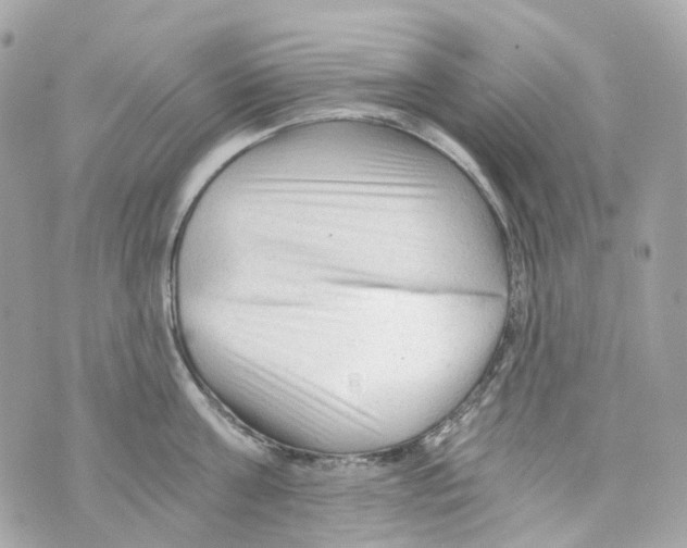 X0000069810811200606161848