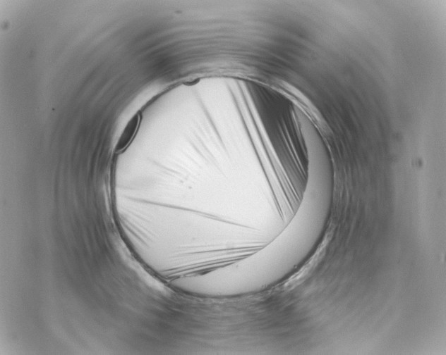 X0000069810812200606161848