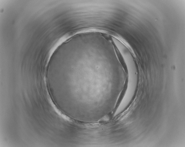 X0000069810813200606161848