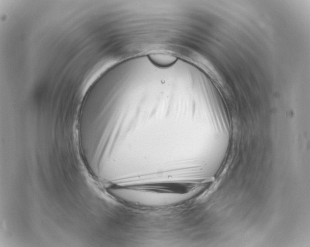 X0000069810814200606161848