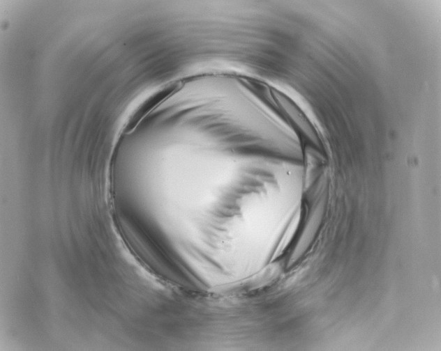 X0000069810815200606161848