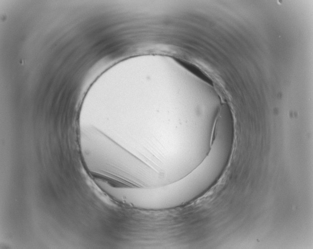 X0000069810816200606161848