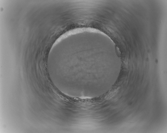 X0000069810817200606161847