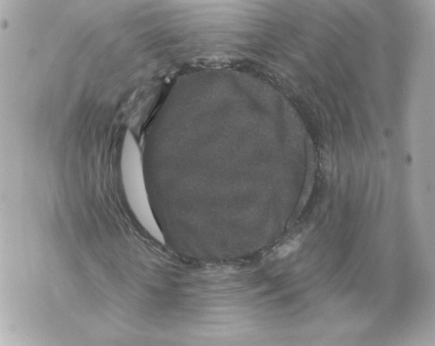 X0000069810818200606161847