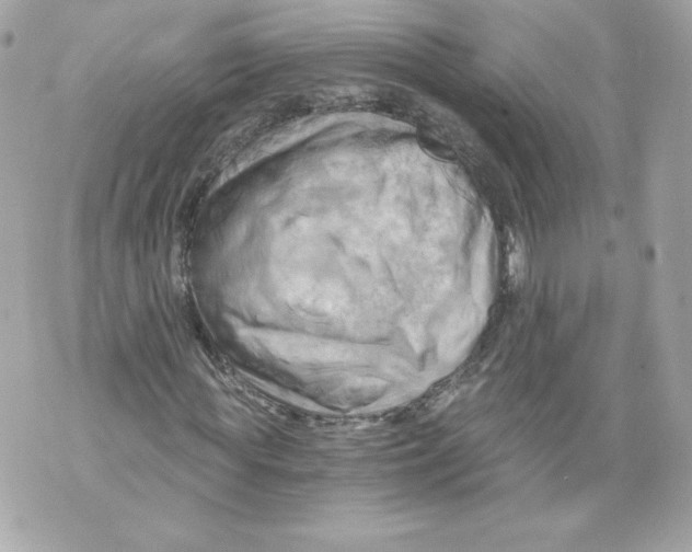 X0000069810819200606161847