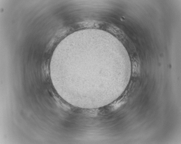 X0000069810820200606161847