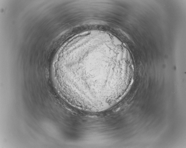 X0000069810821200606161847