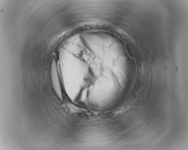 X0000069810822200606161847