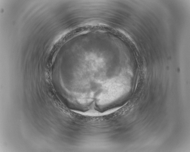 X0000069810823200606161847