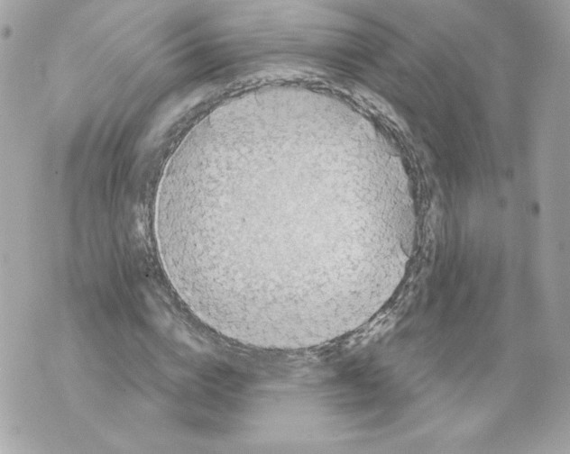 X0000069810824200606161847