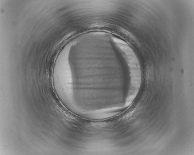 X0000069810825200606161847