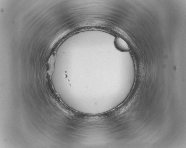 X0000069810826200606161847