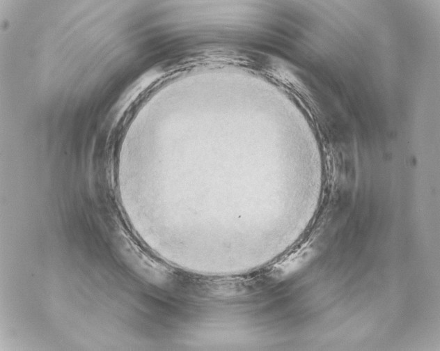 X0000069810828200606161847