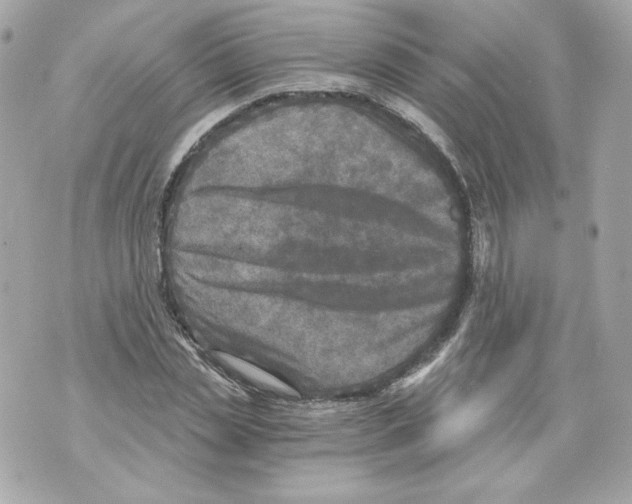 X0000069810829200606161847