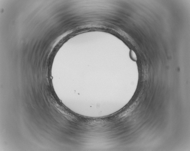 X0000069810830200606161847