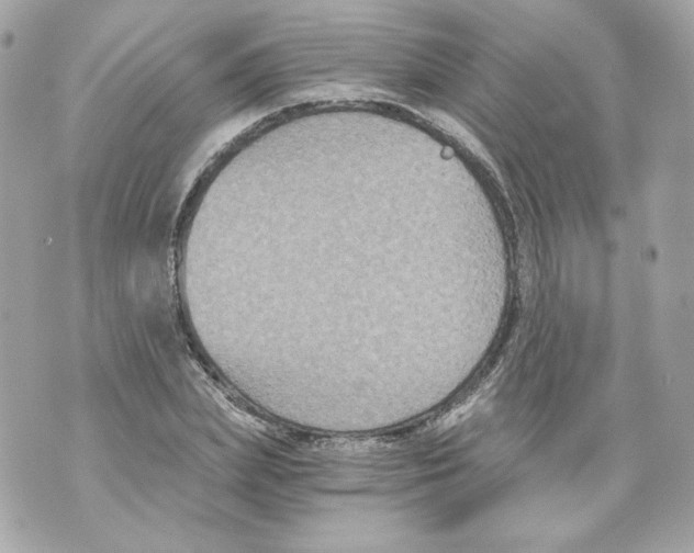 X0000069810831200606161847