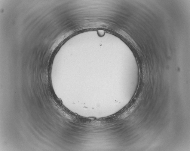 X0000069810834200606161847