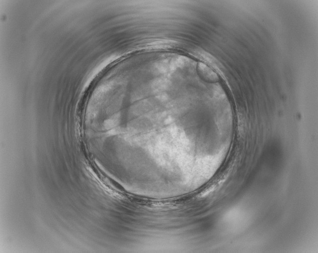 X0000069810835200606161847