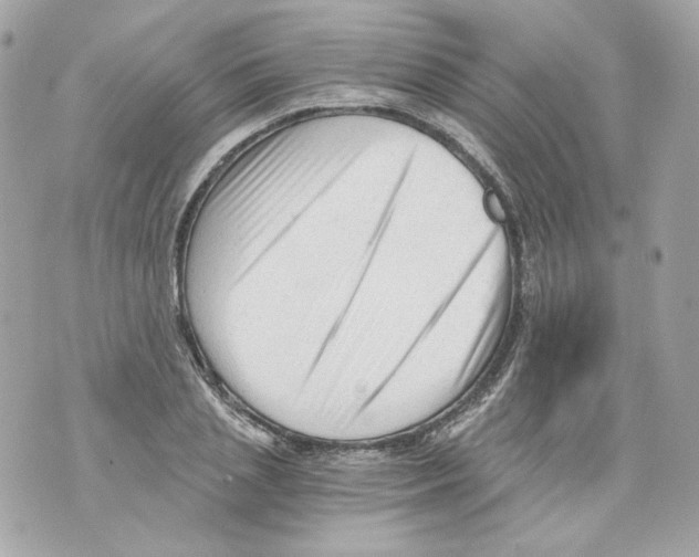 X0000069810837200606161847