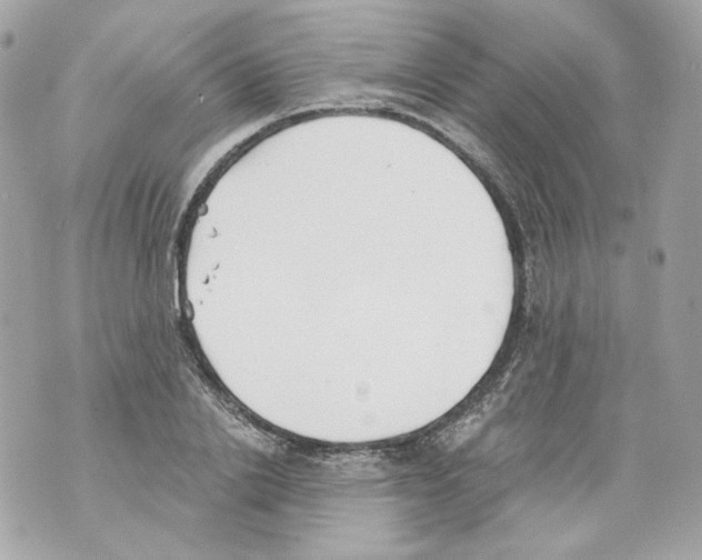 X0000069810838200606161847