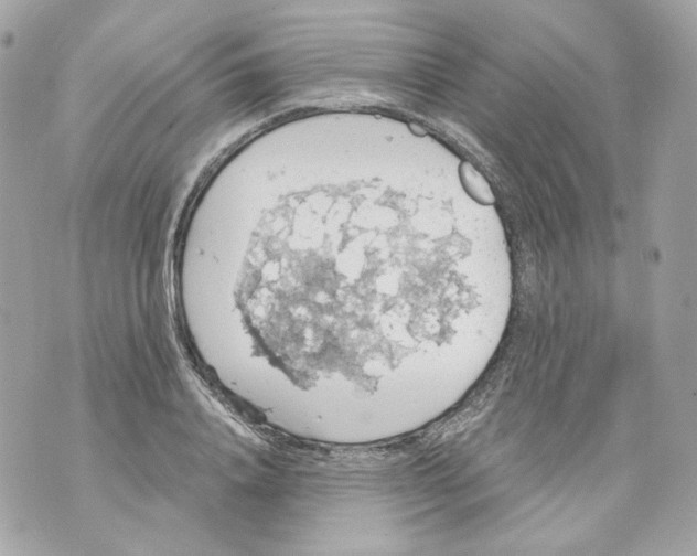 X0000069810840200606161847