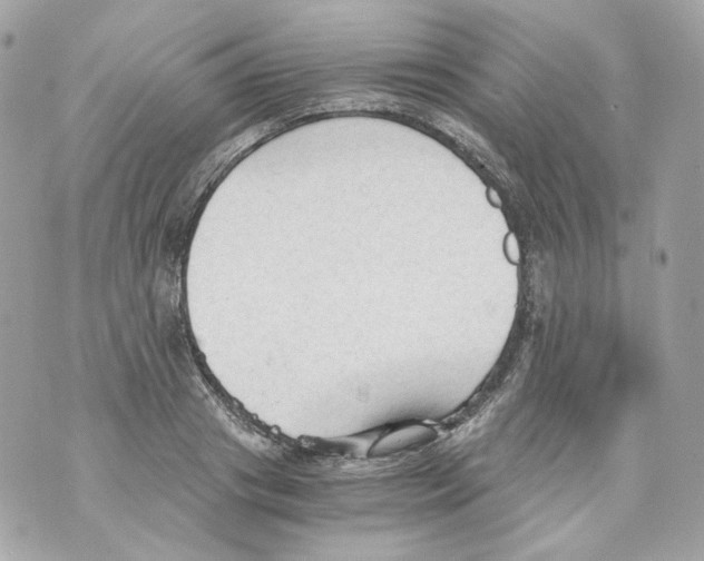 X0000069810841200606161847