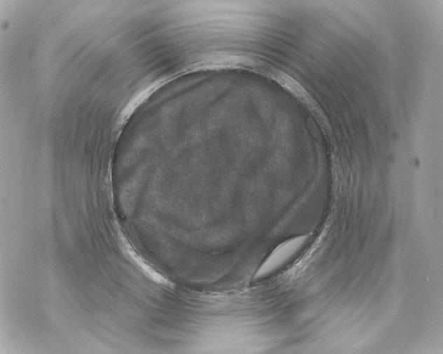 X0000069810842200606161847