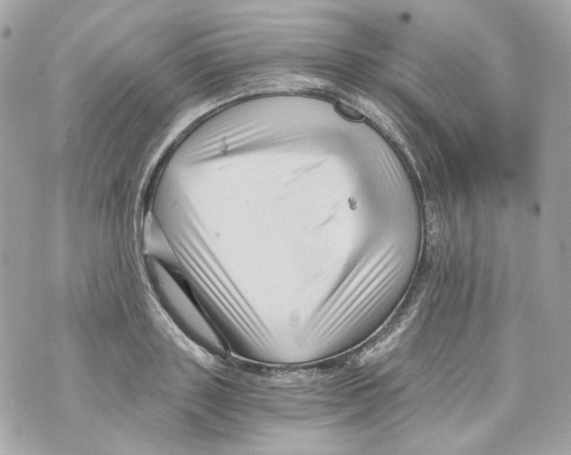 X0000069810843200606161847