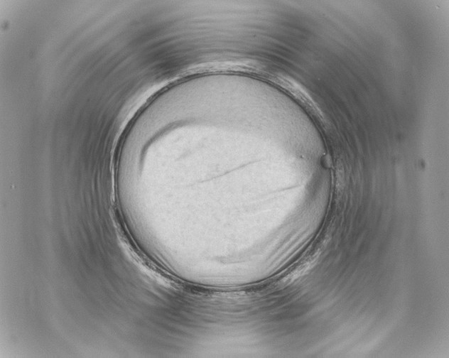 X0000069810844200606161847