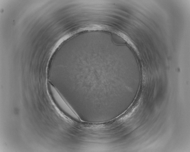 X0000069810845200606161847