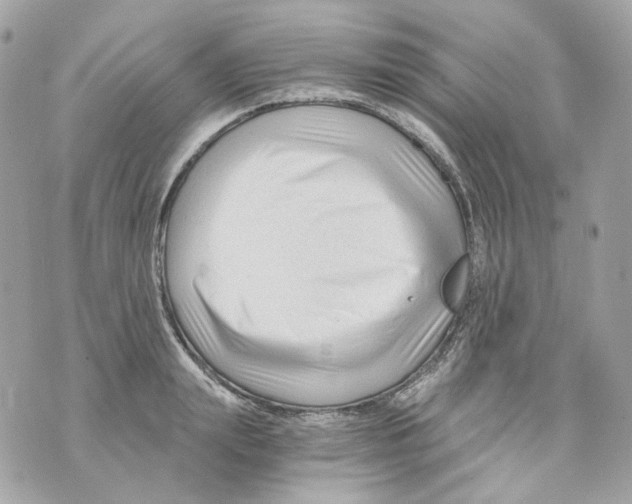 X0000069810847200606161847