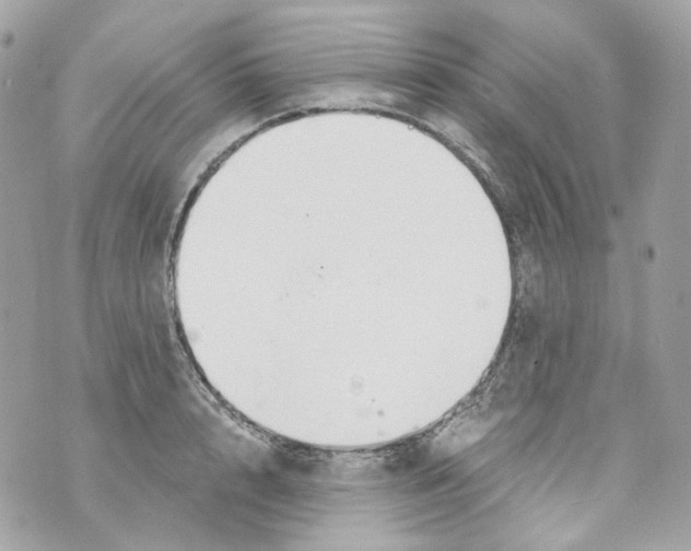 X0000069810848200606161847