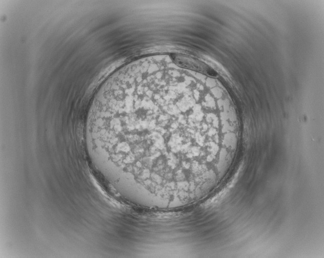 X0000069810849200606161847