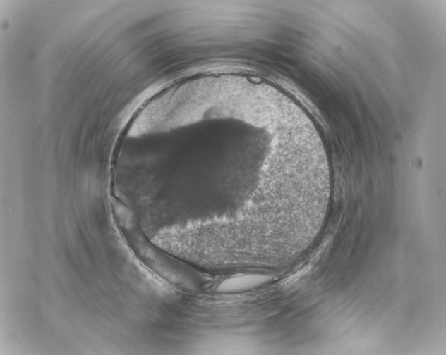 X0000069810853200606161847