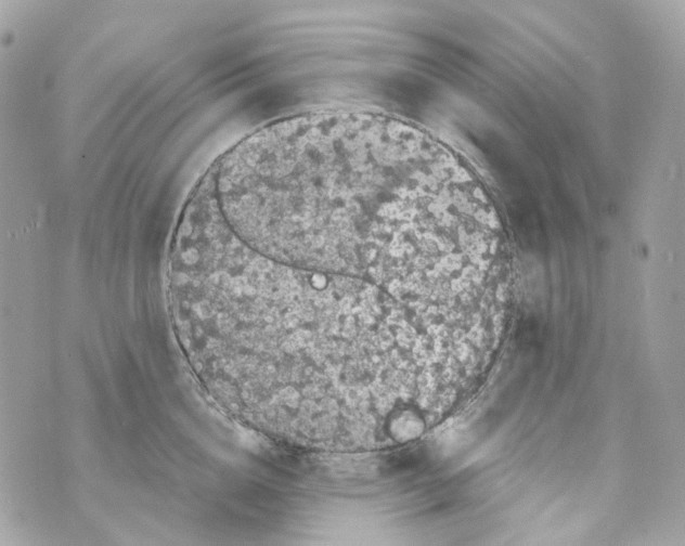 X0000069810856200606161847