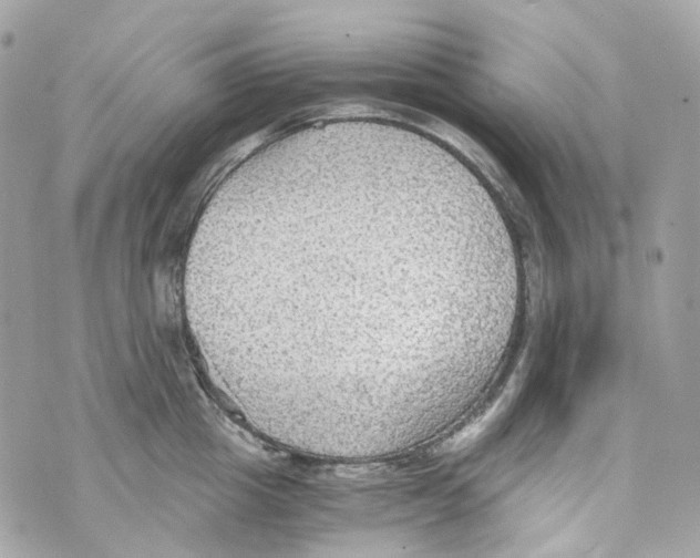 X0000069810857200606161847