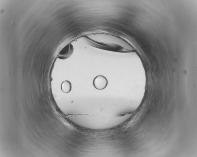 X0000069810858200606161847