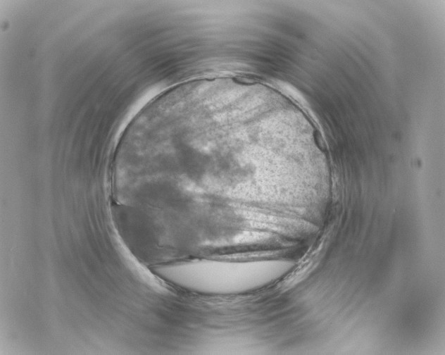 X0000069810859200606161847