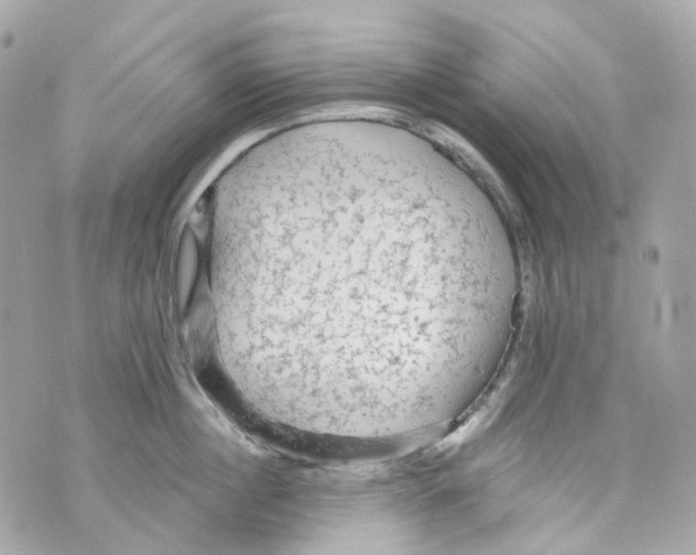 X0000069810860200606161848