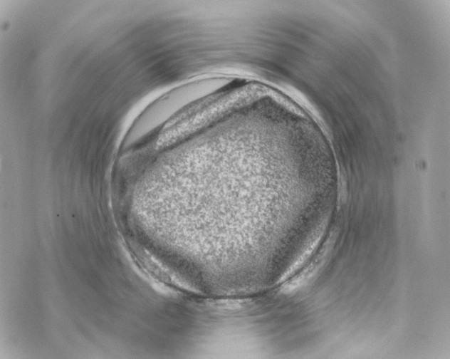 X0000069810862200606161848