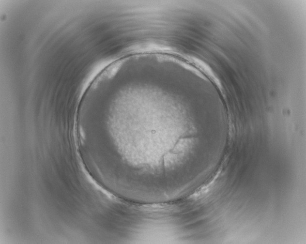 X0000069810863200606161848