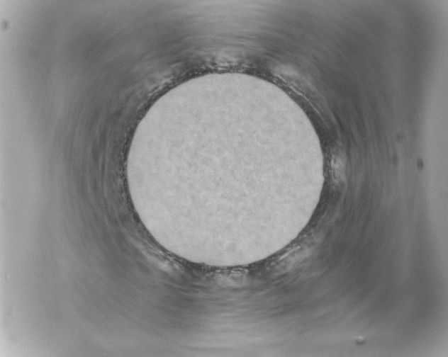 X0000069810865200606161847