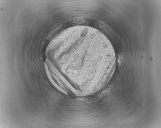 X0000069810867200606161847