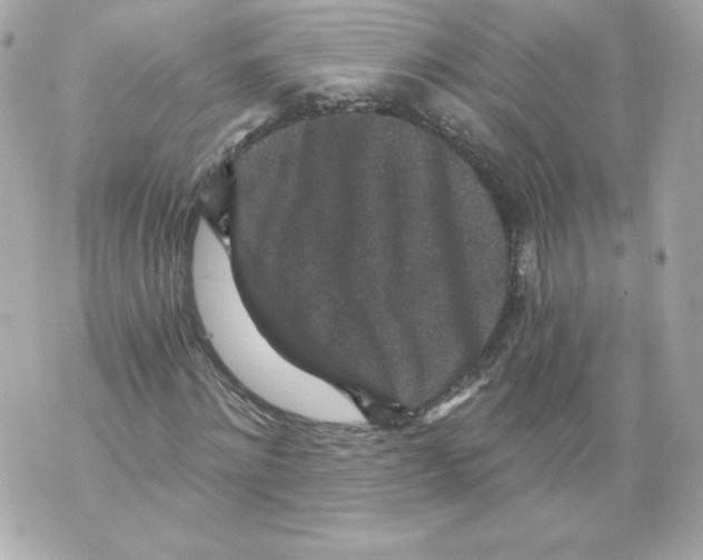 X0000069810868200606161847